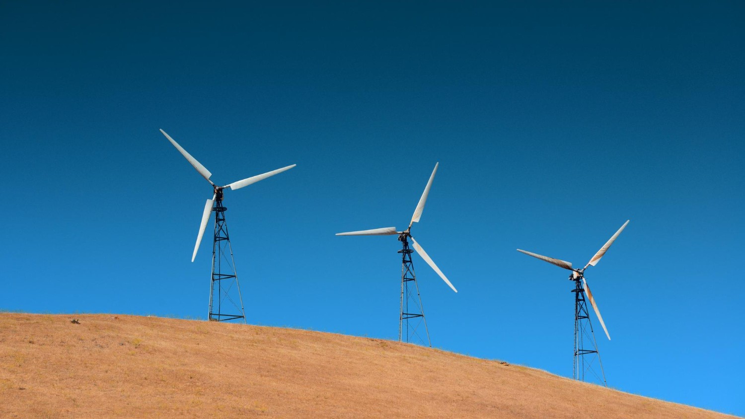 Trump Administration Freezes U.S. Wind Projects Over National Security Concerns